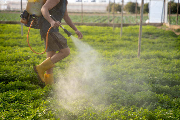 Best Best Pest Control Companies  in Helena Valley Northeast, MT
