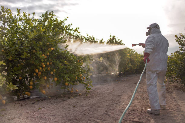 Pest Control Cost in Helena Valley Northeast, MT