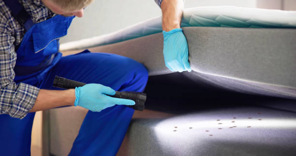 Best Mosquito Control Services  in Helena Valley Northeast, MT