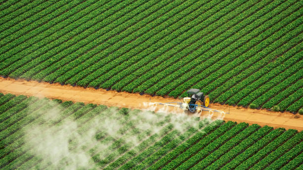 Best Pest Inspection Near Me  in Helena Valley Northeast, MT