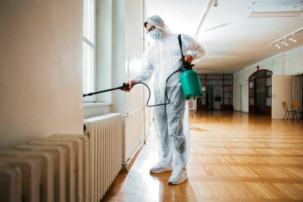 Best Mosquito Control Services  in Helena Valley Northeast, MT