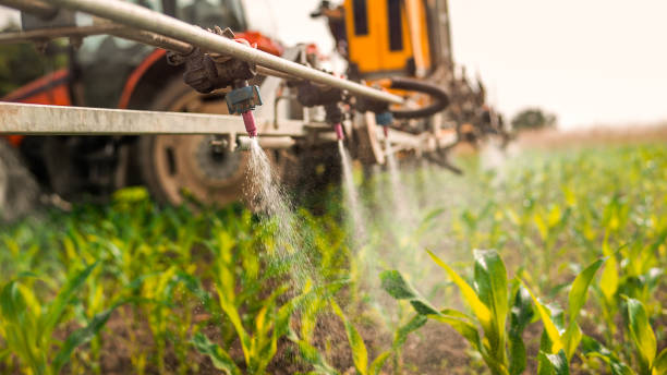 Best Wildlife Control Services  in Helena Valley Northeast, MT