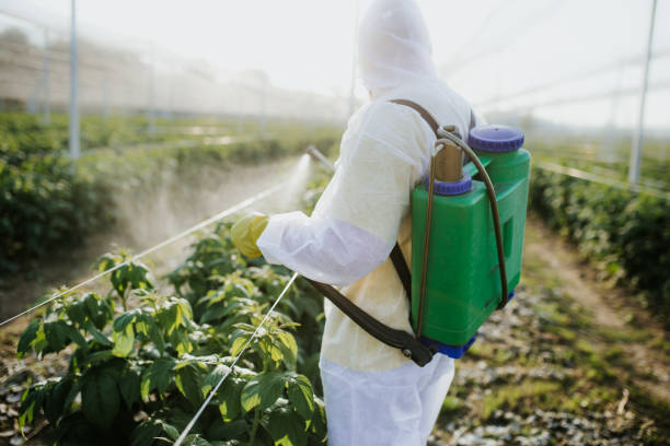 Reliable Helena Valley Northeast, MT Pest Control Solutions